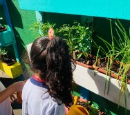 PROGRAMA COLORIR SUSTENTÁVEL - PEQUENOS HORTICULTORES EM MANUTENÇÃO 