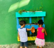 PROGRAMA COLORIR SUSTENTÁVEL - PEQUENOS HORTICULTORES EM MANUTENÇÃO 