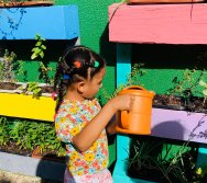 PROGRAMA COLORIR SUSTENTÁVEL - PEQUENOS HORTICULTORES EM MANUTENÇÃO 