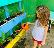 PROGRAMA COLORIR SUSTENTÁVEL - PEQUENOS HORTICULTORES EM MANUTENÇÃO 