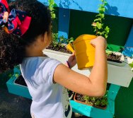 PROGRAMA COLORIR SUSTENTÁVEL - PEQUENOS HORTICULTORES EM MANUTENÇÃO 