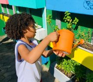 PROGRAMA COLORIR SUSTENTÁVEL - PEQUENOS HORTICULTORES EM MANUTENÇÃO 