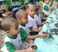 PROJETO COLORIR SUSTENTÁVEL- ETAPA PEQUENOS HORTICULTORES