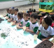 PROJETO COLORIR SUSTENTÁVEL- ETAPA PEQUENOS HORTICULTORES