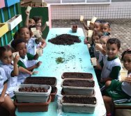 PROJETO COLORIR SUSTENTÁVEL- ETAPA PEQUENOS HORTICULTORES