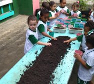 PROGRAMA COLORIR SUSTENTÁVEL - PLANTAÇÃO DE FLORES ONZE HORAS - ETAPA PEQUENOS  HORTICULTORES