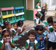 PROGRAMA COLORIR SUSTENTÁVEL - PLANTAÇÃO DE FLORES ONZE HORAS - ETAPA PEQUENOS  HORTICULTORES