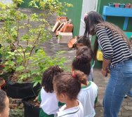 PROGRAMA COLORIR SUSTENTÁVEL - PLANTAÇÃO DE FLORES ONZE HORAS - ETAPA PEQUENOS  HORTICULTORES