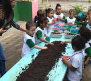 PROGRAMA COLORIR SUSTENTÁVEL - PLANTAÇÃO DE FLORES ONZE HORAS - ETAPA PEQUENOS  HORTICULTORES