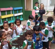 PROGRAMA COLORIR SUSTENTÁVEL - PLANTAÇÃO DE FLORES ONZE HORAS - ETAPA PEQUENOS  HORTICULTORES