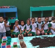 PROGRAMA COLORIR SUSTENTÁVEL - PLANTAÇÃO DE FLORES ONZE HORAS - ETAPA PEQUENOS  HORTICULTORES