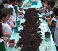 PROGRAMA COLORIR SUSTENTÁVEL - PLANTAÇÃO DE FLORES ONZE HORAS - ETAPA PEQUENOS  HORTICULTORES