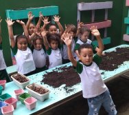 PROGRAMA COLORIR SUSTENTÁVEL - PLANTAÇÃO DE FLORES ONZE HORAS - ETAPA PEQUENOS  HORTICULTORES