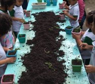 PROGRAMA COLORIR SUSTENTÁVEL - PLANTAÇÃO DE FLORES ONZE HORAS - ETAPA PEQUENOS  HORTICULTORES