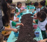 PROGRAMA COLORIR SUSTENTÁVEL - PLANTAÇÃO DE FLORES ONZE HORAS - ETAPA PEQUENOS  HORTICULTORES