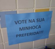 PROJETO COLORIR SUSTENTÁVEL - ETAPAS PEQUENOS COLETORES E PEQUENOS COMPOSTEIROS - CULMINÂNCIA