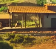 Visita de Estudo para conhecimento e construção do Proj. Educacional de Segurança Ferroviária